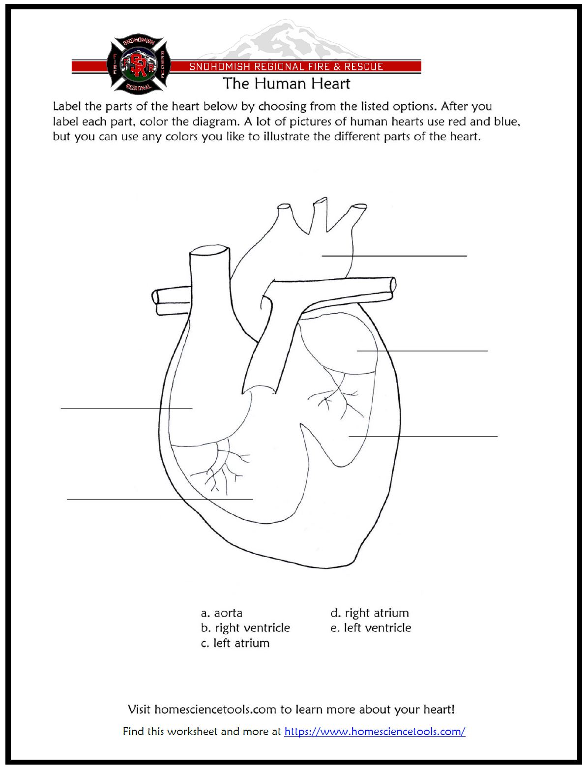 Lesson - Homework