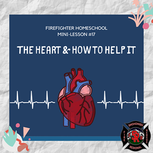 lesson-17-homepage-icon-the-heart-how-to-help-it.png